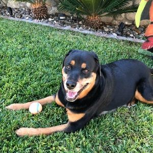 Meet your Posher, Jeri